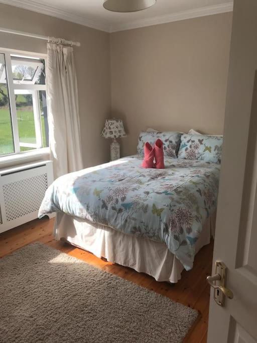 Killarney Farm House. Екстер'єр фото